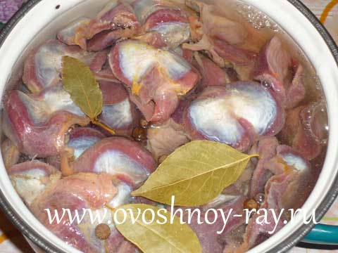 Что приготовить из куриных желудочков Полезные советы